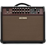 Boss Acoustic Singer Pro Amplifier