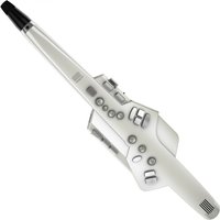 Read more about the article Roland AE-10 Aerophone Digital Wind Instrument – Ex Demo