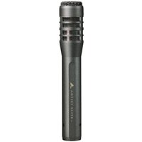 Audio-Technica AE5100 Cardioid Condenser Instrument