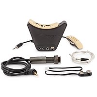 LR Baggs Anthem Acoustic Guitar Pickup with Mic