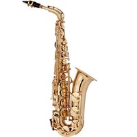 Rosedale Professional Alto Saxophone by Gear4music