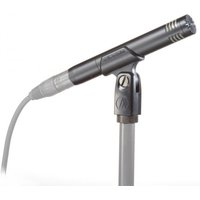 Audio Technica AT2031 Condenser Instrument Microphone