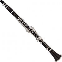 Read more about the article Buffet E13 Bb Clarinet with Attache Case