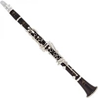 Read more about the article Buffet R13 Professional Bb Clarinet Outfit