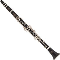 Read more about the article Yamaha Custom YCL-SEVR Bb Clarinet