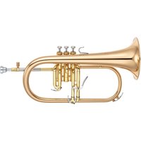 Read more about the article Yamaha YFH8315G Professional Flugel Horn