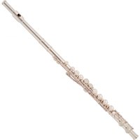 Read more about the article Yamaha YFL212 Student Model Flute Silver Lip Plate – Ex Demo