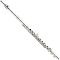 Read more about the article Yamaha YFL617 Professional Handmade Flute
