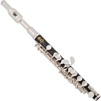 Read more about the article Yamaha YPC32 Student Piccolo