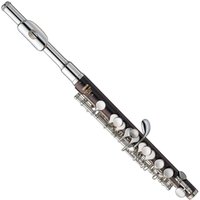 Read more about the article Yamaha YPC82 Professional Piccolo