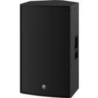 Read more about the article Yamaha CZR15 15 Passive PA Speaker