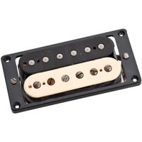 Read more about the article Seymour Duncan Antiquity JB Pickup Zebra