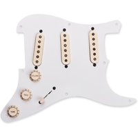 Read more about the article Seymour Duncan Antiquity Fully Loaded Pickguard Strat