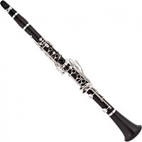 Read more about the article Rosedale Clarinet by Gear4music – Nearly New