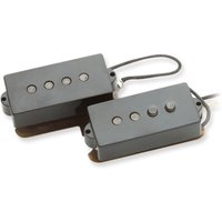 Read more about the article Seymour Duncan Antiquity Precision Bass Pickup Set Raised-A