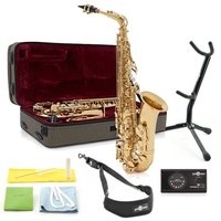 Rosedale Professional Alto Sax Players Pack By Gear4music