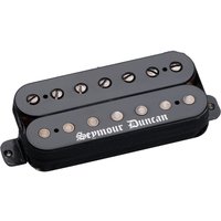 Read more about the article Seymour Duncan Black Winter 7-String Neck Pickup Black