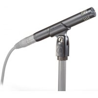 Read more about the article Audio Technica AT2031 Condenser Instrument Microphone