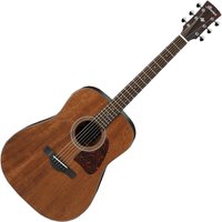 Read more about the article Ibanez AW54 Artwood Open Pore Natural