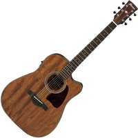 Ibanez AW54CE Artwood Open-Pore Natural