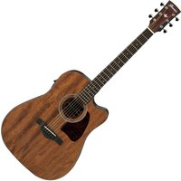Read more about the article Ibanez AW54CE Artwood Open-Pore Natural