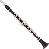 Buffet R13 Professional Bb Clarinet Outfit