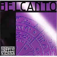 Read more about the article Thomastik Belcanto Viola D String 4/4 Size