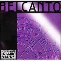 Read more about the article Thomastik Belcanto Viola C String 4/4 Size