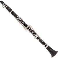 Read more about the article Buffet E11 Intermediate Bb Clarinet