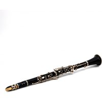 Read more about the article Yamaha YCL255S Student Bb Clarinet – Secondhand