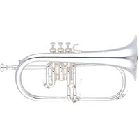Read more about the article Yamaha YFH-631GS Professional Flugel Horn Silver