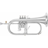 Read more about the article Yamaha YFH8315G Professional Flugel Horn Silver