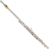 Read more about the article Yamaha YFL312 Student Model Flute Gold Lip Plate