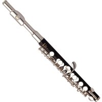 Read more about the article Yamaha YPC62M Professional Piccolo