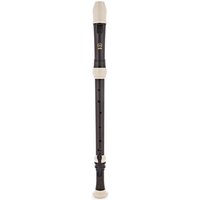 Read more about the article Yamaha YRT304BII Tenor Recorder