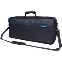 Read more about the article Boss CB-GT100 Carry Bag For The BOSS GT-100 and RC-300