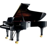 Read more about the article Eastwest Steinway D Platinum