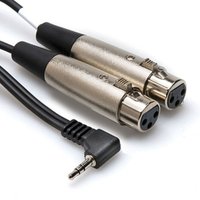 Read more about the article Hosa Camcorder Mic Cable Dual XLR3F Right-angle 3.5mm TRS 2ft