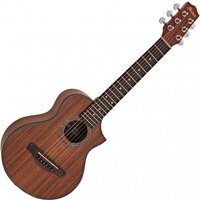 Ibanez EWP14WB Open Pore Natural