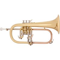 Flugel Horn by Gear4music