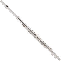 Read more about the article Student Flute with Case by Gear4music