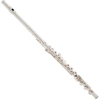 Read more about the article Rosedale Intermediate Flute By Gear4music – Nearly New