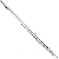 Read more about the article Rosedale Intermediate Flute By Gear4music