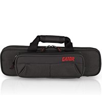 Read more about the article Gator GL-FLUTE-A Rigid EPS Flute Case