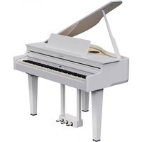 Read more about the article Roland GP-6 Digital Grand Piano Polished White