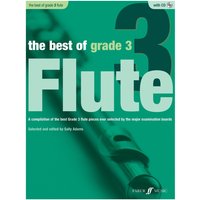 Read more about the article The Best of Grade 3 Flute