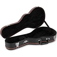 Read more about the article Mandolin Case by Gear4music