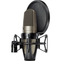 Read more about the article Shure KSM42/SG Large Dual Diaphragm Microphone