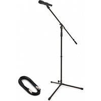 Shure KSM8 Black with Mic Stand