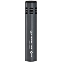 Read more about the article Sennheiser e614 Overhead Condenser Microphone
